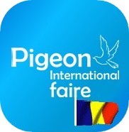 Pigeon Int. Fair